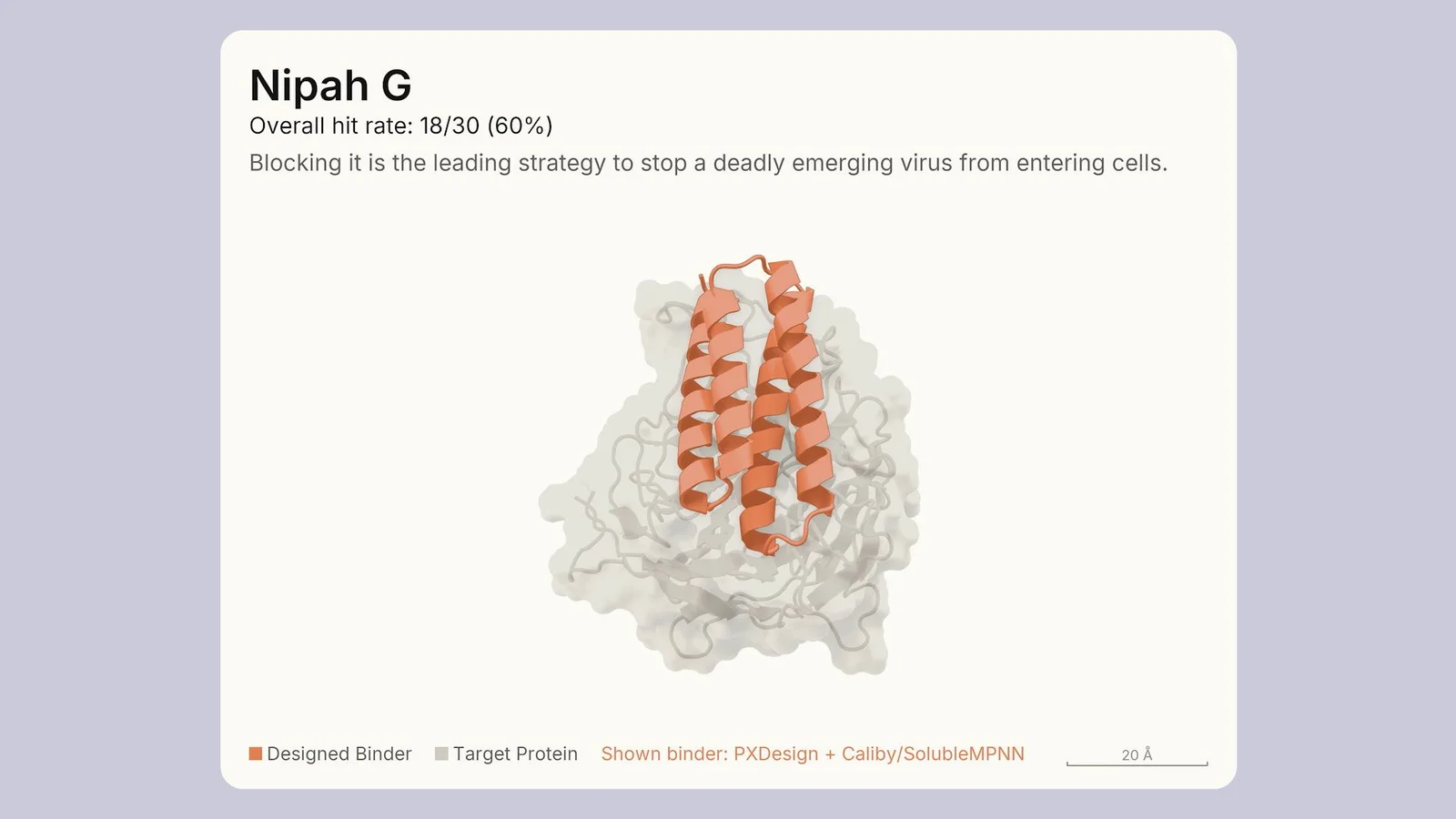 Diagram showing the Nipah G target protein and designed binder structure with hit rate metrics.