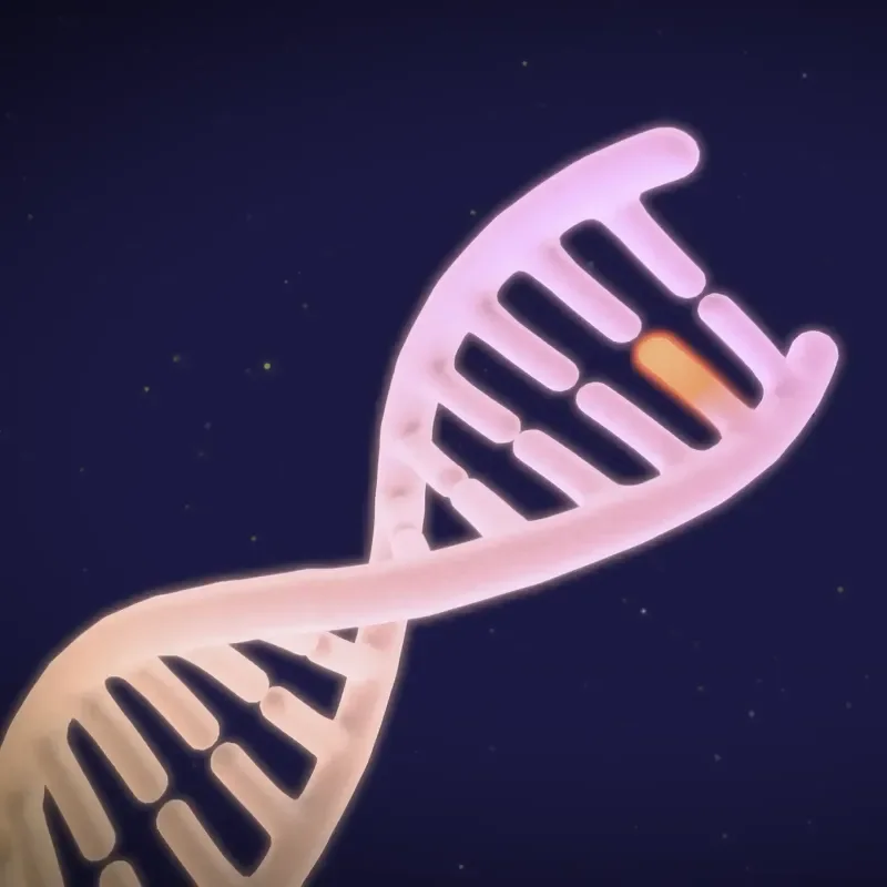 Stylized DNA double helix with a highlighted nucleotide change.