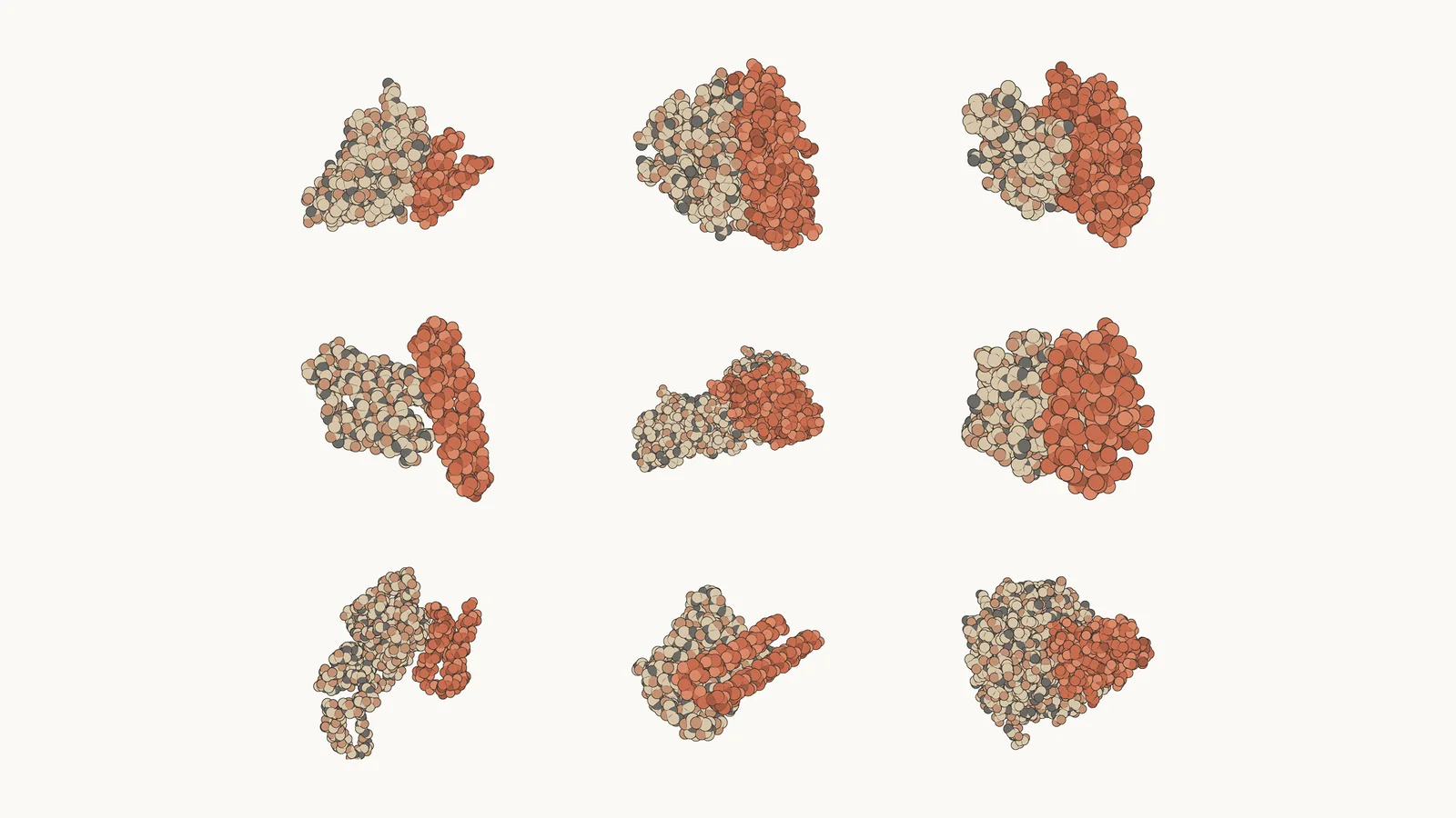 Nine molecular structure models showing various configurations of the newly discovered enzyme system.